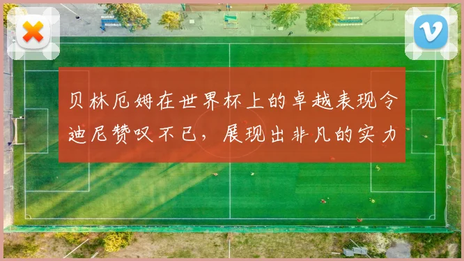 贝林厄姆在世界杯上的卓越表现令迪尼赞叹不已，展现出非凡的实力与魅力