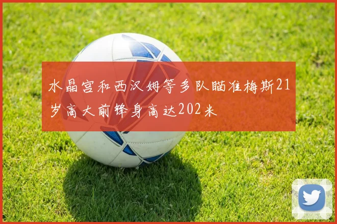 水晶宫和西汉姆等多队瞄准梅斯21岁高大前锋身高达202米