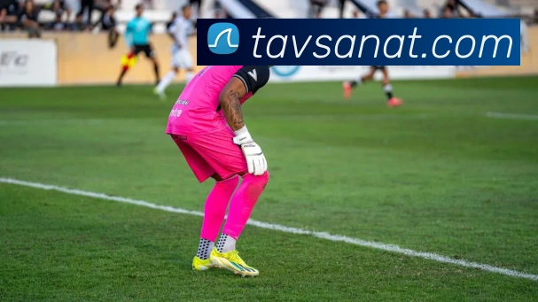 对战数据统计